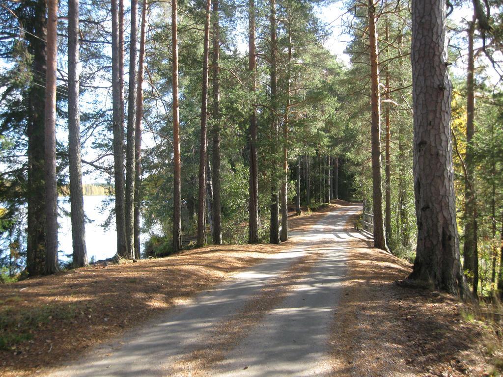 Toppala Cottages Petajavesi Exterior photo